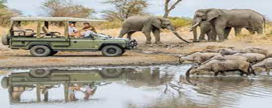 Tarangire National Park