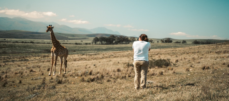 The Best Kenya Large Group Safari 2025/2026