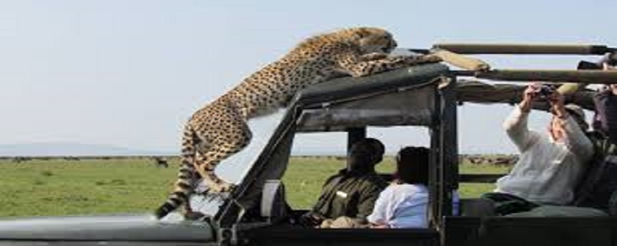 7 days 6 nights Serengeti safari itinerary