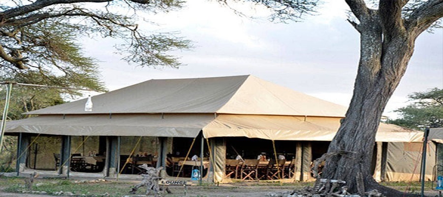 Best Tanzania Camping Safari 2025- 2026 