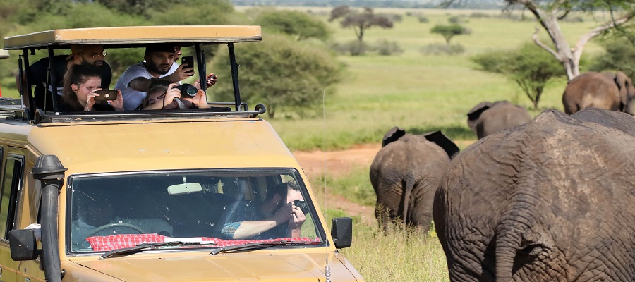 Tanzania Luxury Safari in 2025/2026 