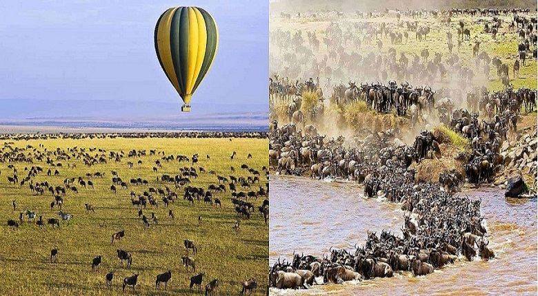 Serengeti Safari Tours from Moshi for 2025/2026