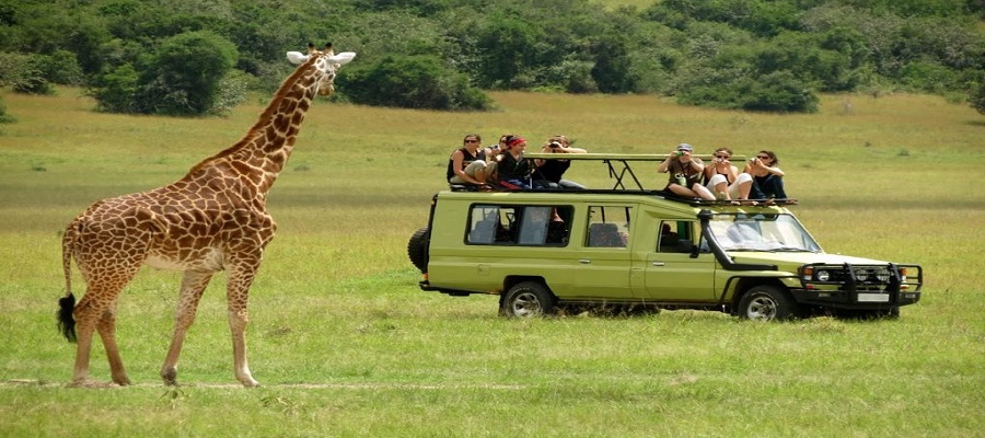 Best Tanzania Tours in September 2026