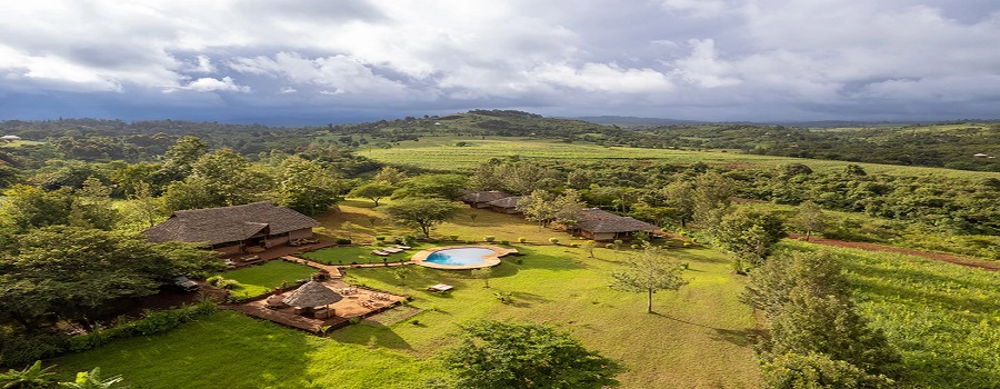 Comparing Tanzania with Other Luxury Safari Destinations in Africa