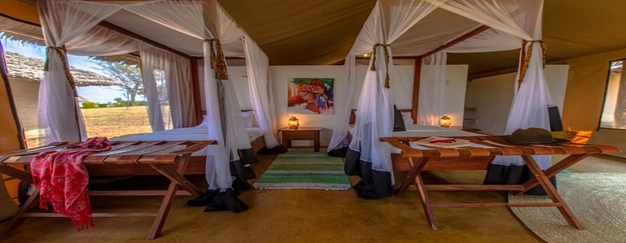 Best Tanzania Luxury Safari Tours: Exclusive Range of Packages in 2025/2026 