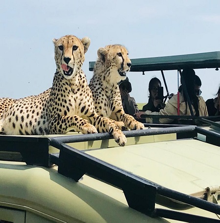 Best 8-day Tanzania Private Big 5 safari