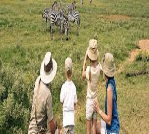 9-Day Tanzania Family safari | Greatest Wildbeest Migration.