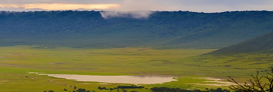 The Best 8-Day Tanzania Private Safari: Explore Africa’s Top Wildlife Destinations