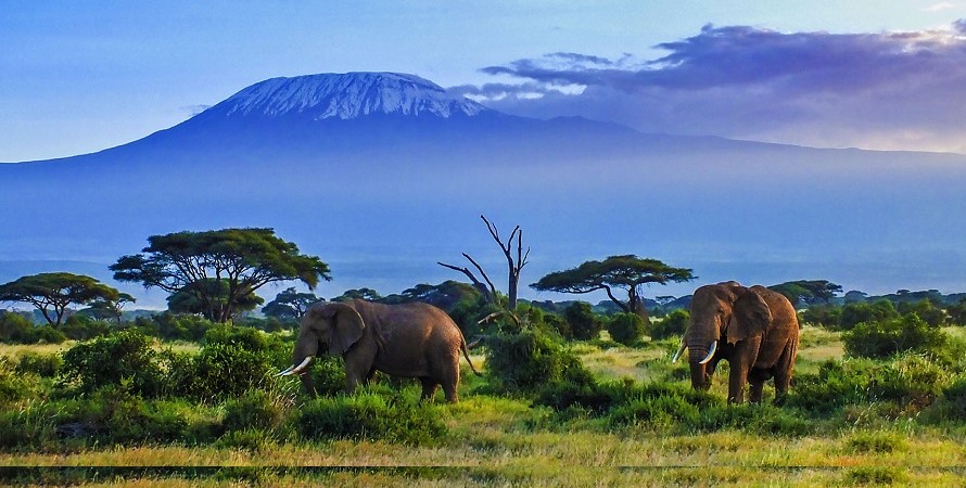 Best Things to Do in Kenya in 2024 - 2025