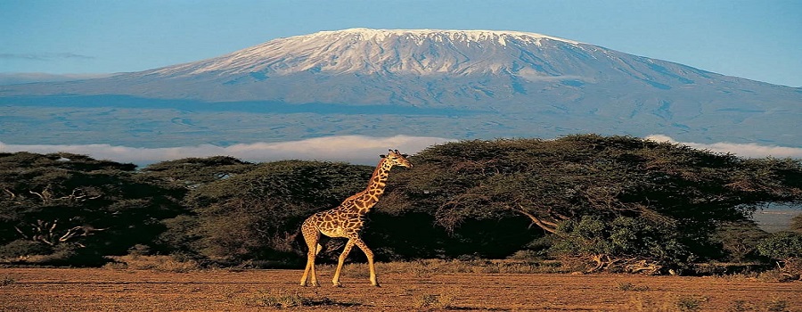 2024 - 2025 Things to do in Africa: Best Africa's Tours, Holidays and Safaris 2024 - 2025 