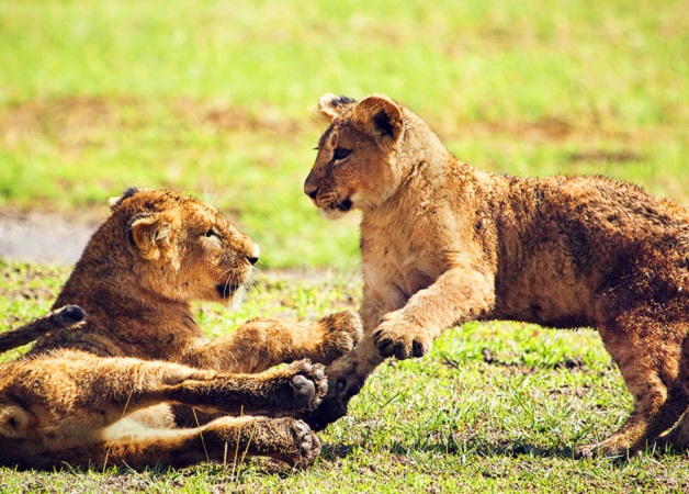 Arusha National Park