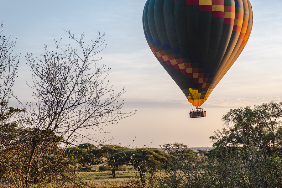 Tanzania Safari