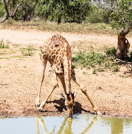 Serengeti Safari In January February And March Of 2024 2025 And 2026   Best Serengeti Safari Tours In January February And March For 2023 2024 2025 2026 2027 2028 2029 2030 