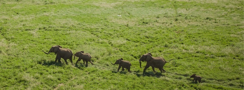 Entdecken Sie die Abfahrtsdaten für Safaris in Tansania im Jahr 2025-2026