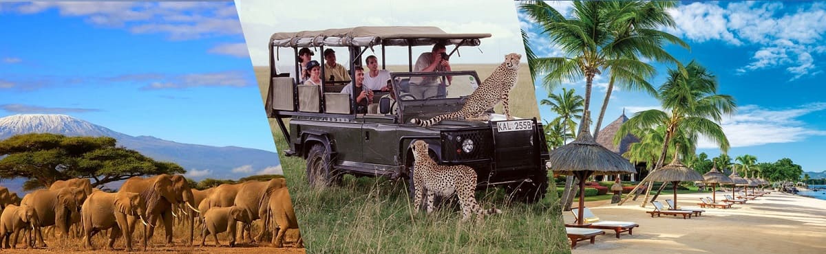 Tanzania Tours