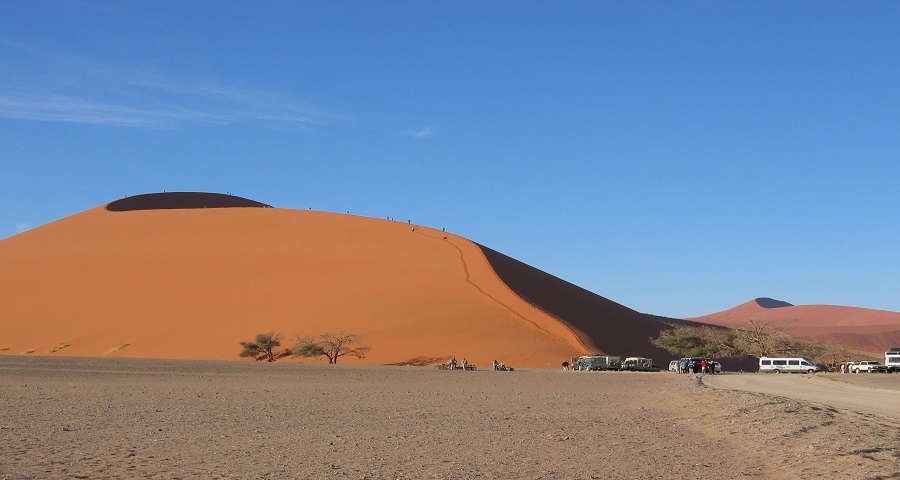 Tanzania Safari