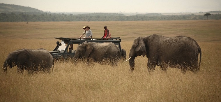 Serengeti Drive-in - Fly-out Safari for 2025/2026