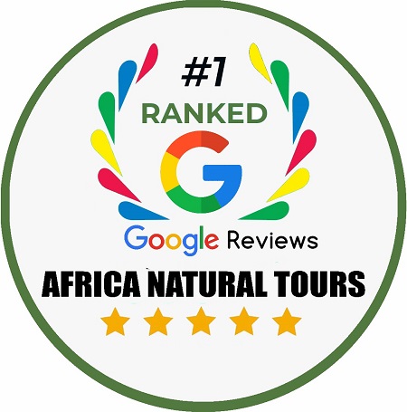 Africa Tours & Safaris