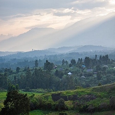 Best Rwanda Safari