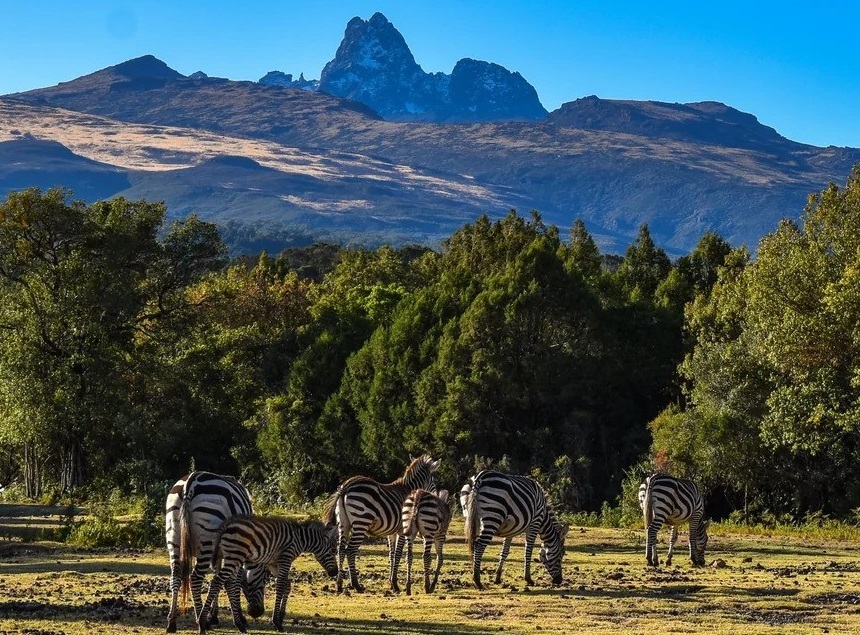 Best Things to Do in Kenya in 2024 - 2025