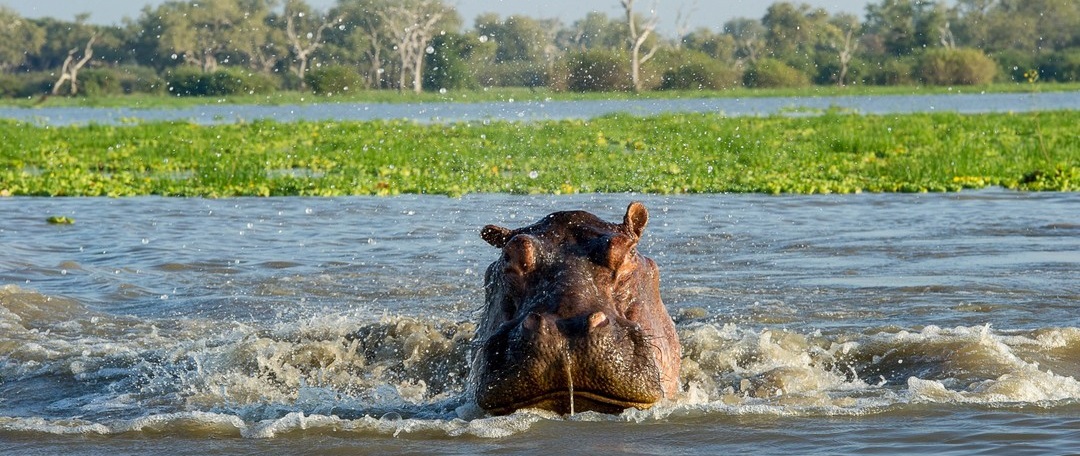 July 2026: Masai Mara Kenya Safari Trips Group Joining Scheduled Departure Dates & Prices