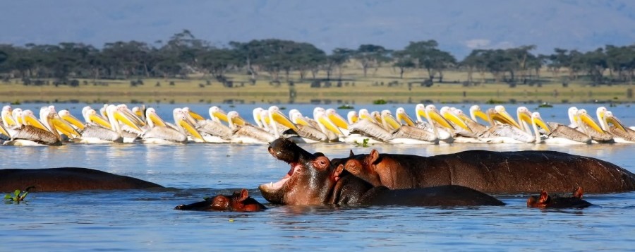 June 2026: Kenya Safari Holiday Group Joining Scheduled Departure Dates & Prices