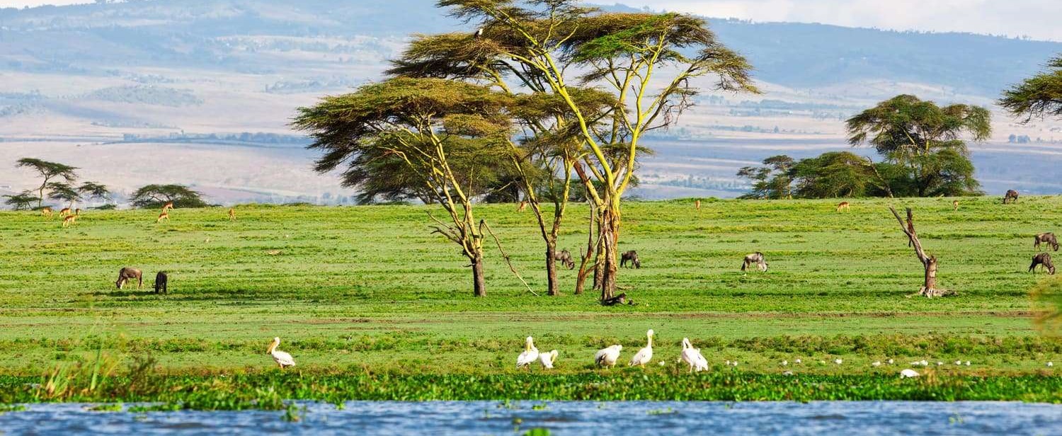 June 2026: Kenya Safari Group Joining Scheduled Departure Dates & Price Costs