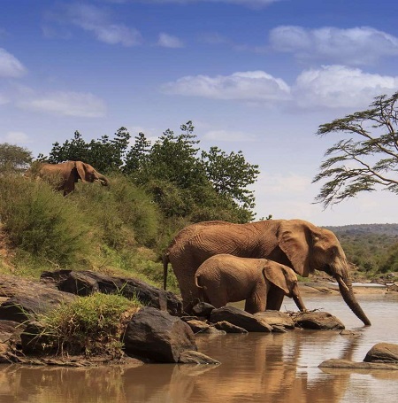 June 2026: Kenya Safari Adventure Group Joining Scheduled Departure Dates & Prices