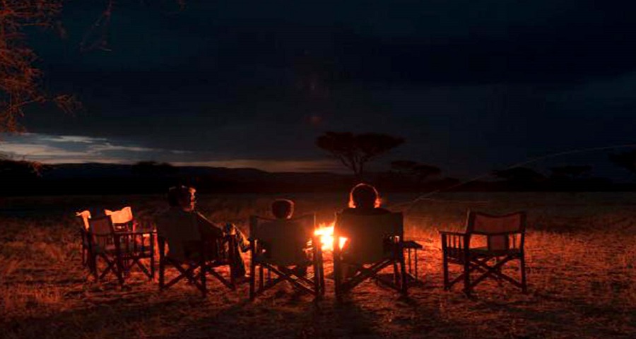 Top Tour Company in Kenya Group Safari 2024/2025