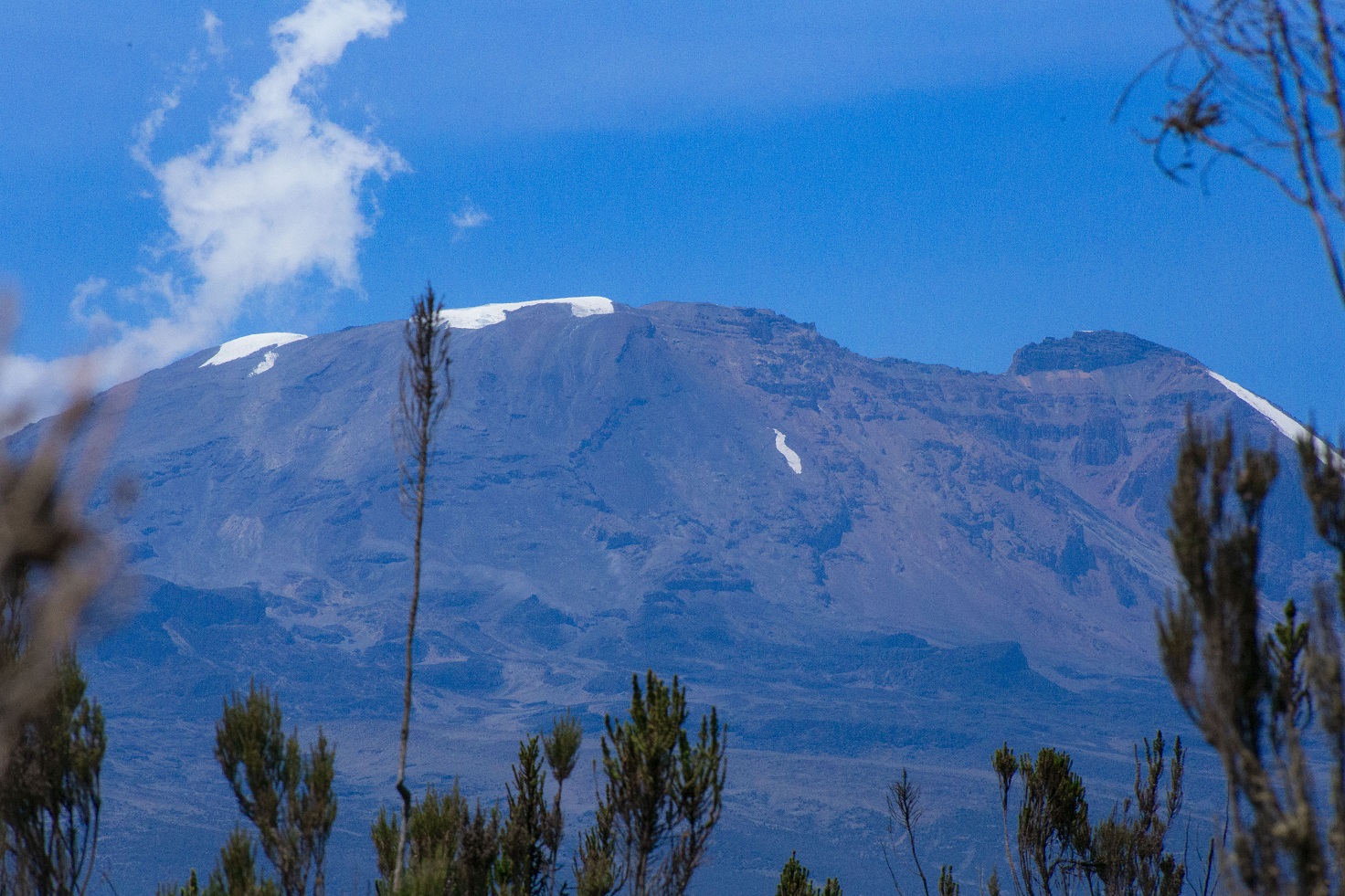 Kilimanjaro Climbing Tours Summit Success Rate 2025-2026