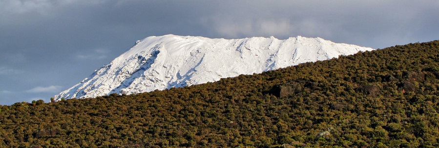 Kilimanjaro trekking for 6 days Marangu route