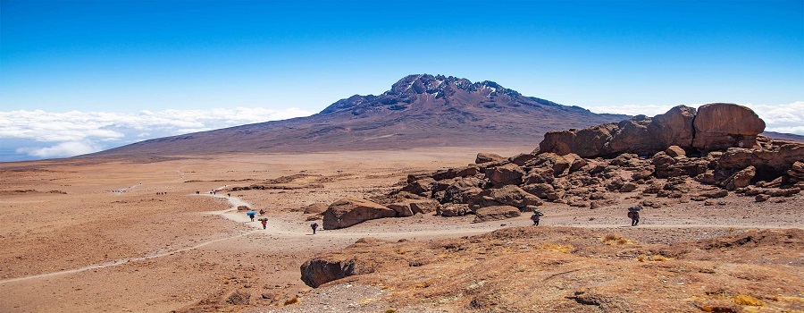 Kilimanjaro Climbing Tours 