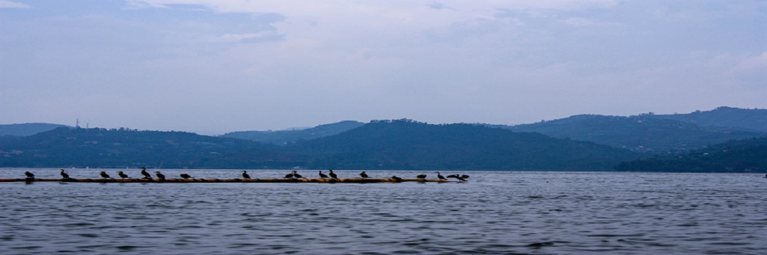 3 days unforgettable vacation experience lake kivu,three rwanda gorilla trekking, 3 days experience lake kivu vacation tour covid,Best time to go gorilla trekking