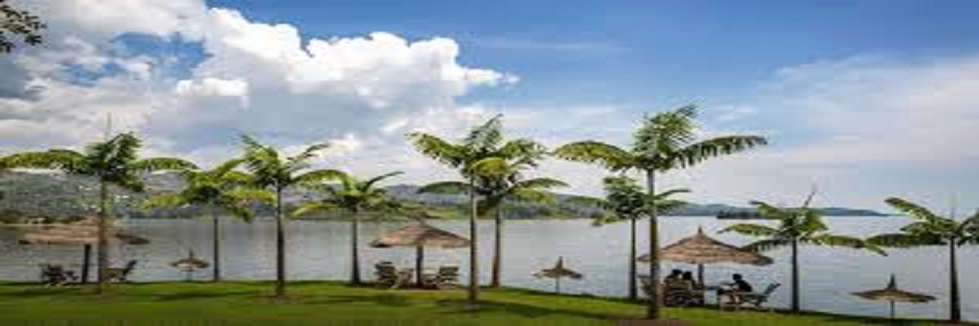 3 days rwanda gorilla trekking, 3 days experience lake kivu vacation tour covid,Best time to go gorilla trekking