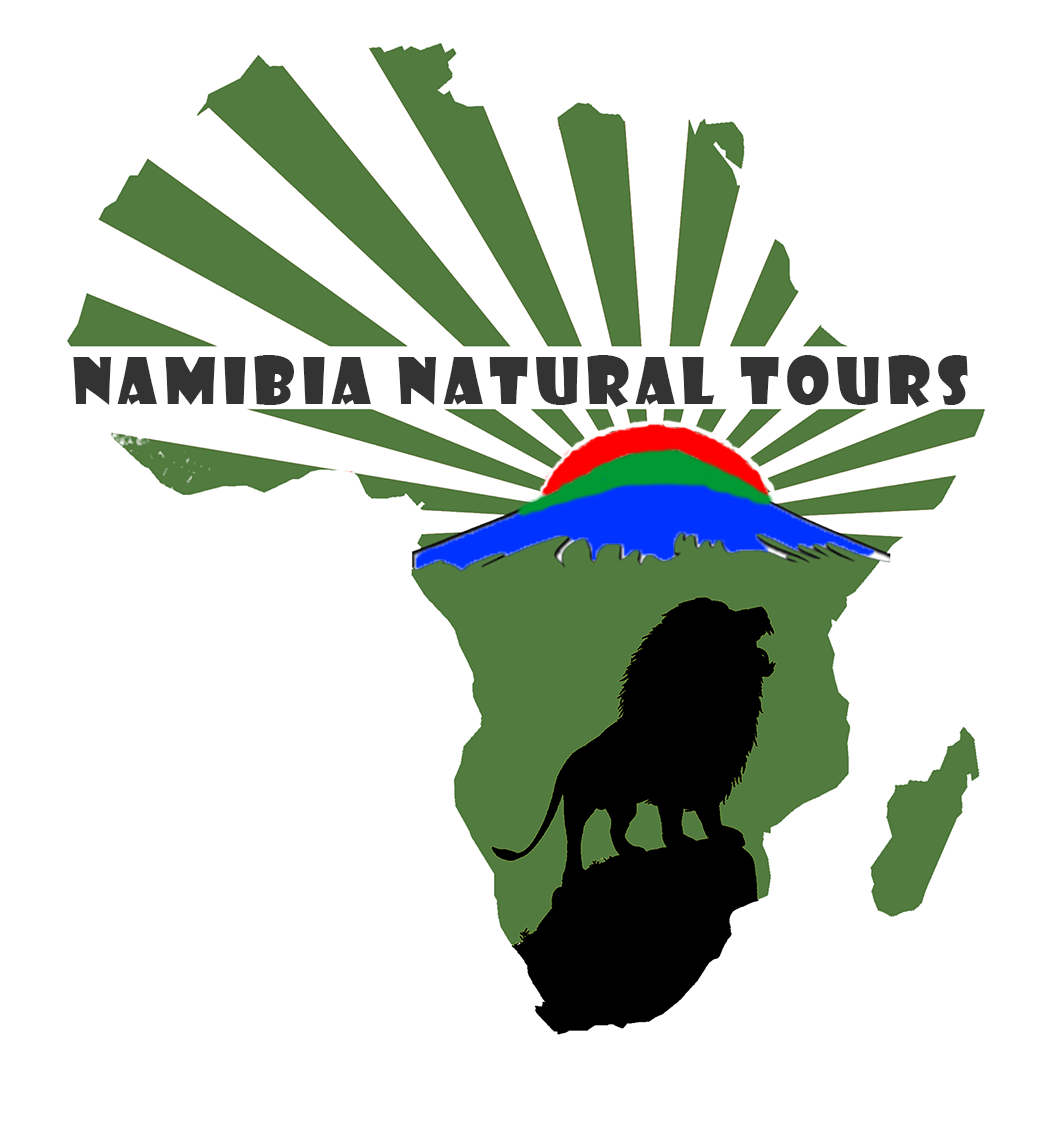 纳米比亚自然之旅