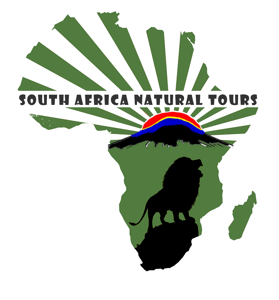 南非自然游