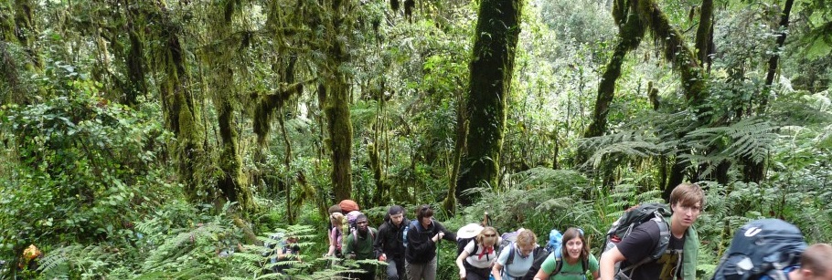 Kilimanjaro climbing Marangu route packages