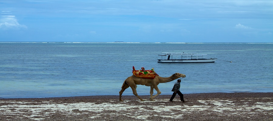 The most Top Best Mombasa Tour Cost : The Latest Updated Guide You Need To Know in 2025-2026