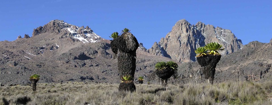 6-day Mount Kenya Trekking Safari Adventure