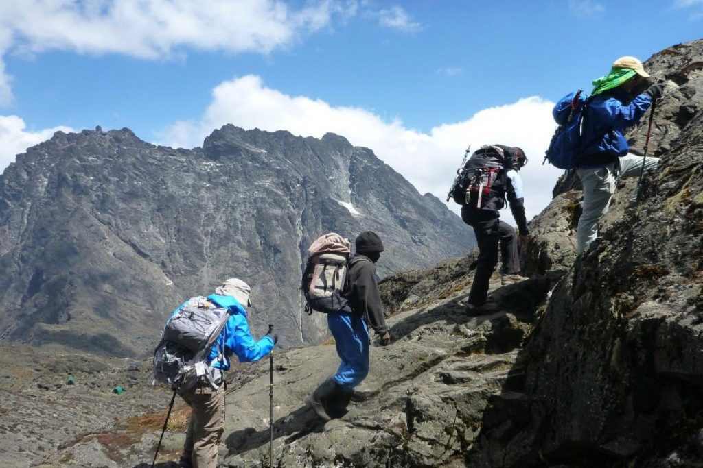 Top Best Rwenzori Mountains in 2025/2026