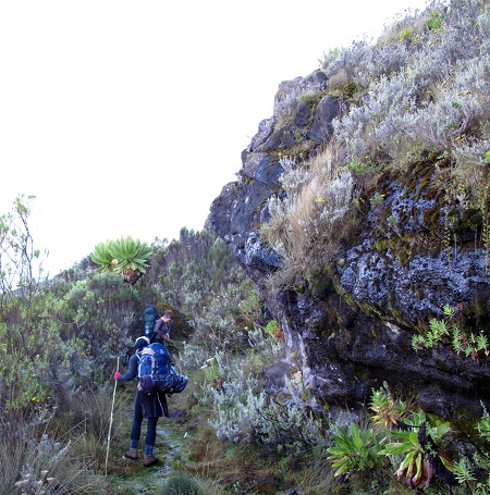 Mount Elgon Trekking Tours 2025-2026