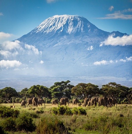 November 2026: Kilimanjaro Climbing Group Joining Scheduled Departure Dates