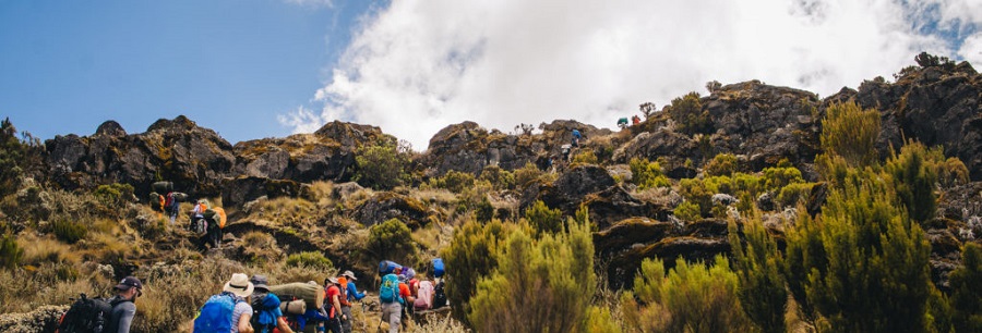 Shira Plateau Day Hike Kilimanjaro Tour Package