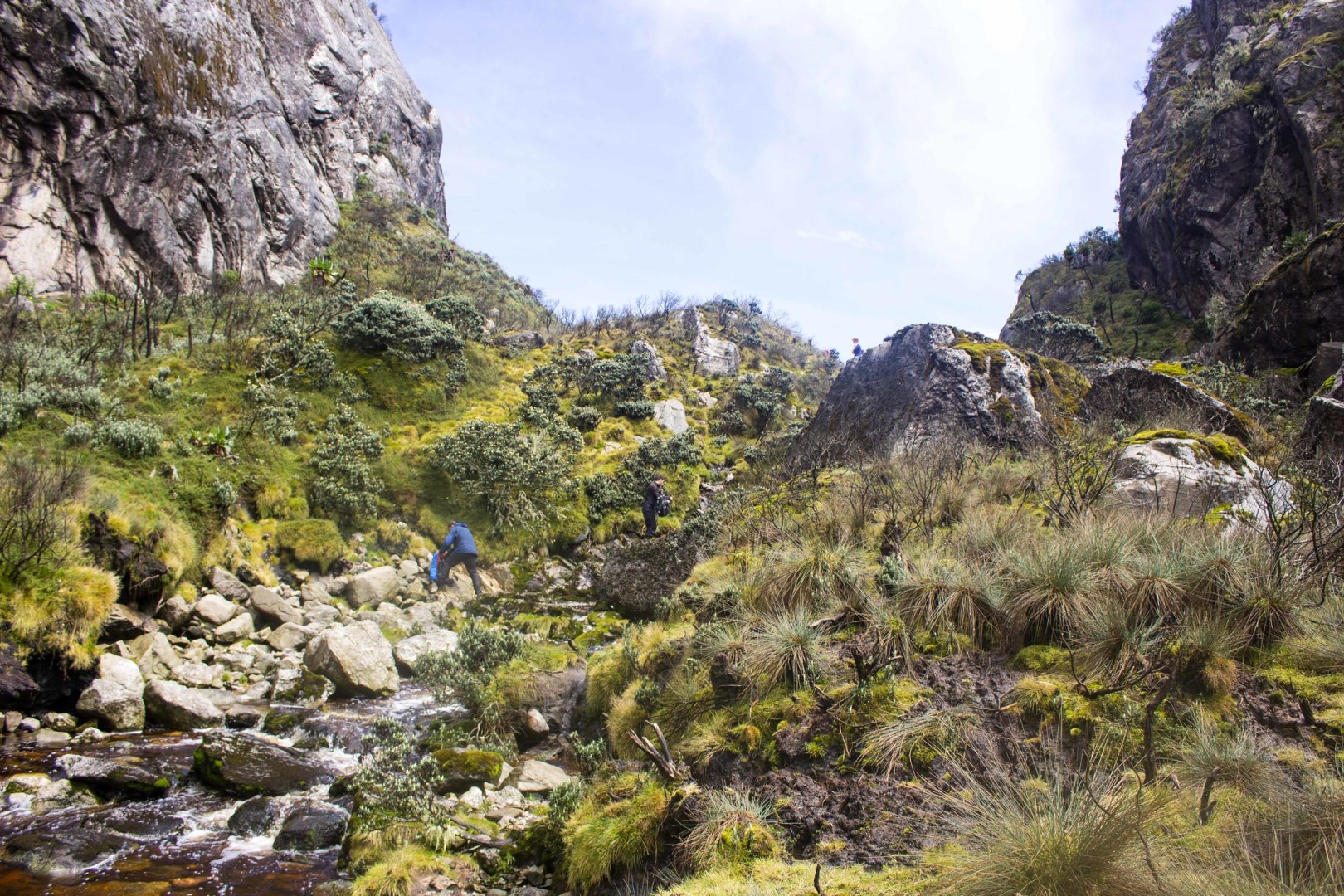 Discover our Top Best Rwenzori Mountains Departure Dates in 2025/2026