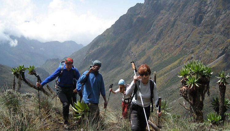 Discover our Top Best Rwenzori Mountains Packages in 2025/2026