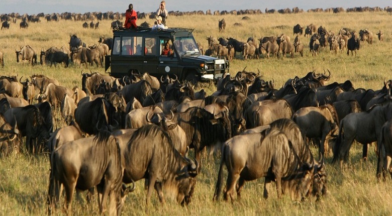 Serengeti Camping Safari in 2025