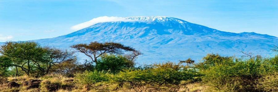 1 day hike Kilimanjaro trip to Shira plateau on Shira route from Arusha or Moshi