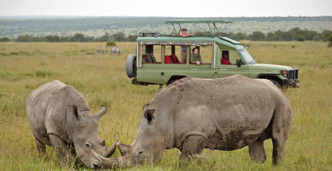 Discover Our Affordable Tanzania Camping Safari Packages