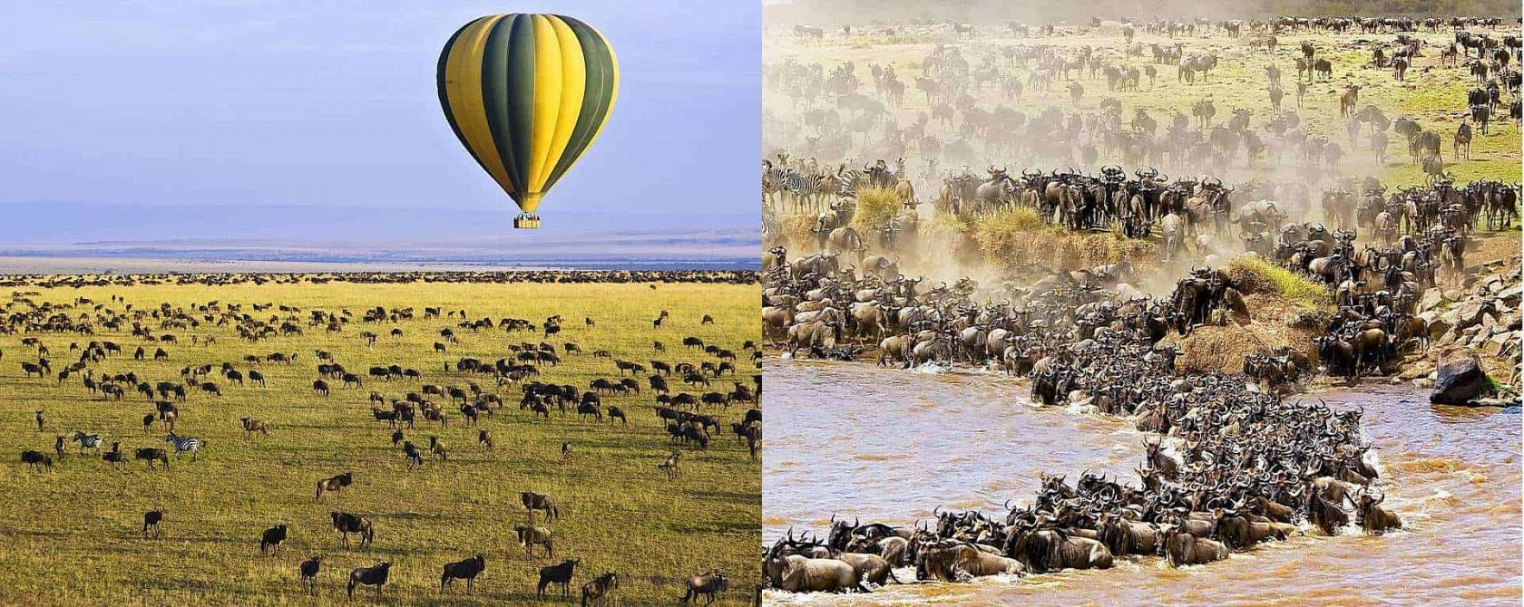 2024 – 2025 Best Activities to Do in Tanzania: Today's Latest Updates from Africa Natural Tours