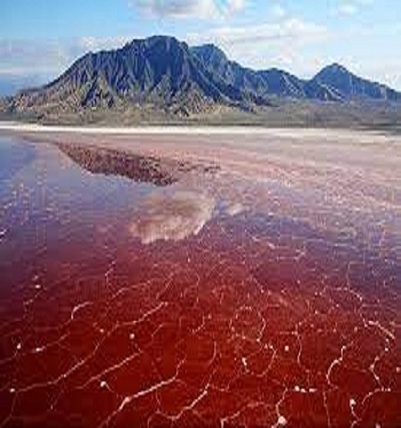 Tarangire National Park